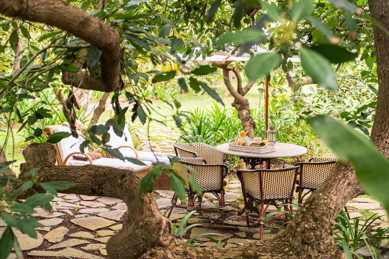 Homeforguest Cosy Rural Flat El Romero With Large Gardens Tacoronte Εξωτερικό φωτογραφία